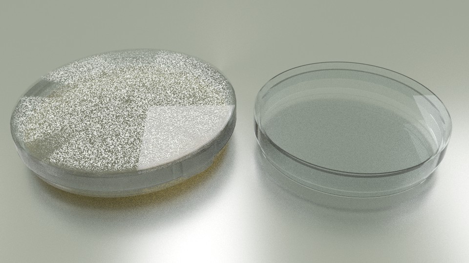Petri Dish with Bacteria Colony preview image 2